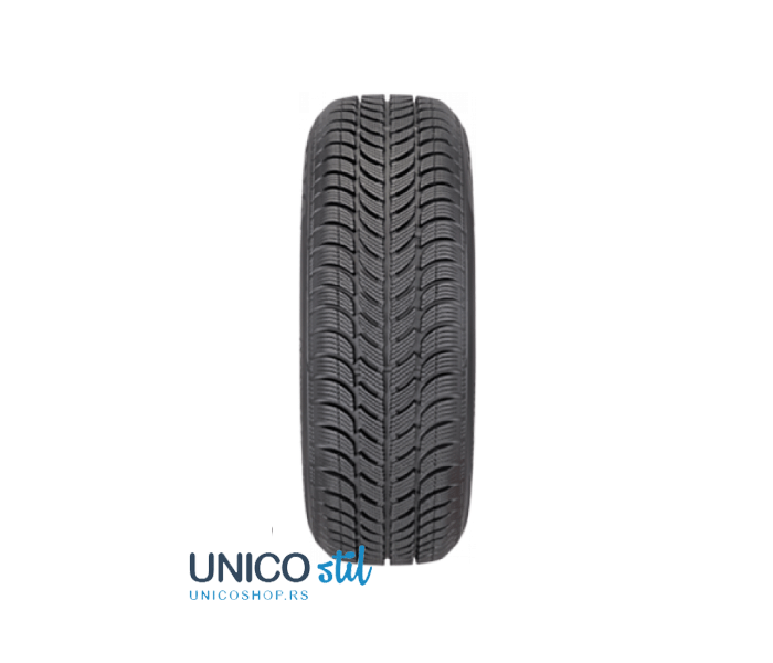 Sava 205/55 R16 Eskimo S3+91T*